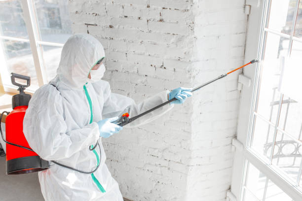 Edgeworth, PA Mold Removal Company